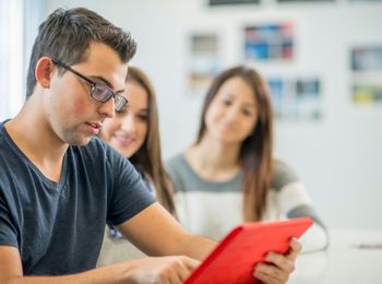 Aplicación de habilidades profesionales al trabajo en redes asociativas