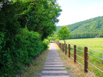 Evaluación de procesos de gestión cultural