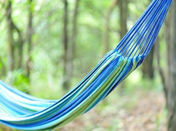 Desarrollo de proyectos de animación cultural