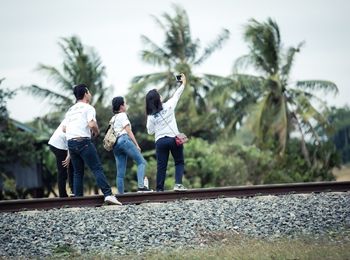 Programación de la gestión cultural