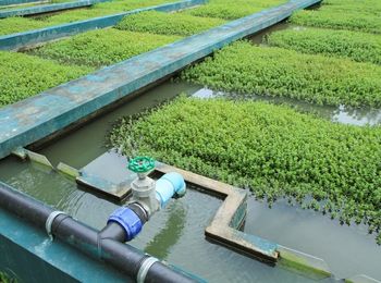 Conceptos de Hidrología. Gestión y usos del agua