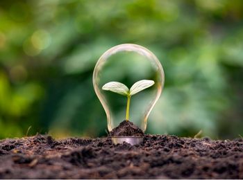 Aspectos económicos de la generación de energía