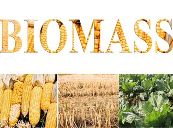 Energía de la Biomasa