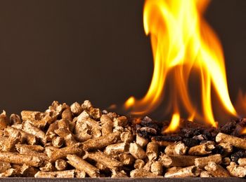 Energía de la biomasa y el agua