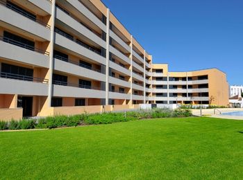 Organización de la promoción comercial inmobiliaria