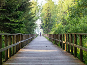 Acompañamiento en la muerte (counselling)