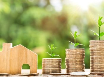 Informe de Tasación del inmueble