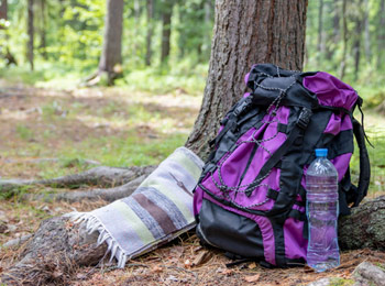 Comercialización del servicio de alojamiento rural