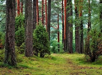 Aprovisionamiento, control de costes y gestión del alojamiento rural