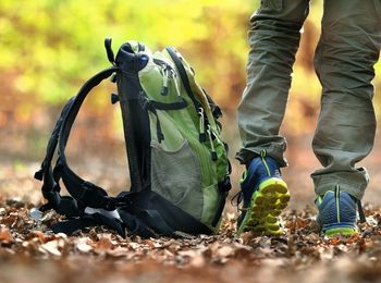 Promoción y comercialización del alojamiento rural