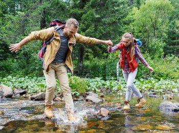 Compra, aprovisionamiento y control de consumos y costes en alojamientos rurales
