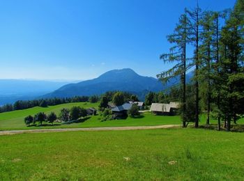 La organización en los establecimientos de alojamiento