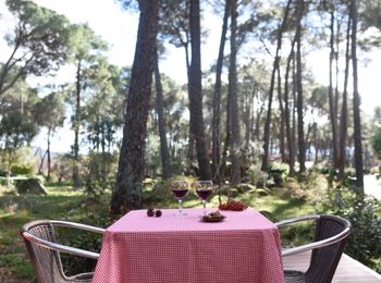 Estimación de ofertas de alojamiento y gastronómicas propias de alojamientos rurales