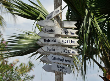 Promoción y venta de servicios turísticos