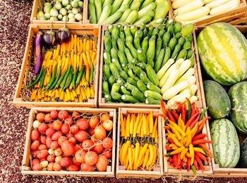 Mantenimiento de los equipos de carga, transporte y descarga de productos agrarios