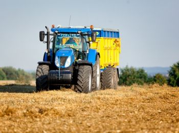 Productos agrarios susceptibles de ser cargados, transportados y descargados con medios mecánicos