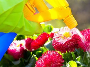 Mantenimiento de los equipos de aplicación de fitosanitarios