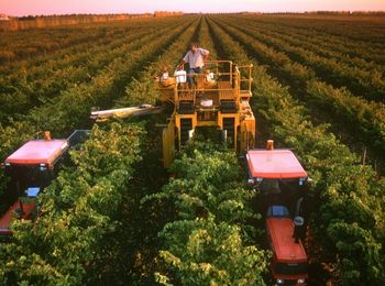 Selección de los equipos de recolección de productos agrarios