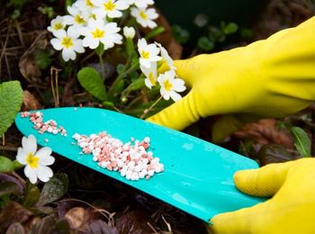 Productos fertilizantes