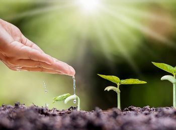 Aplicación de la normativa de seguridad y de protección medioambiental en el manejo y mantenimiento de los equipo de aplicación de fertilizantes