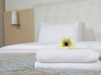 Procesos de gestión de departamentos del área de alojamiento