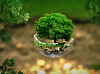 Auditorías e inspecciones vinculadas a un Sistema de Gestión Ambiental (SGA)