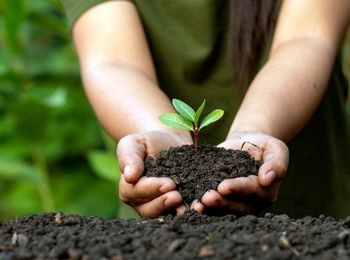 Determinación de las fases relativas a la definición de la estructura del Sistema de Gestión Ambiental