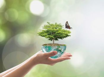 Determinación de aspectos ambientales