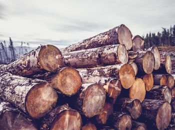 Inventario de puntos de consumo de materias primas