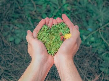 Control y corrección de desviaciones en la aplicación del Sistema de Gestión Ambiental (SGA)