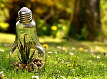 Sistemas de información y formación aplicados al Sistema de Gestión Ambiental (SGA)