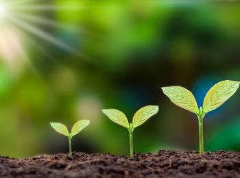 Inventario de puntos de consumo del recurso natural del suelo