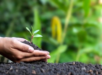 Inventario de puntos de consumo de recursos naturales vivos