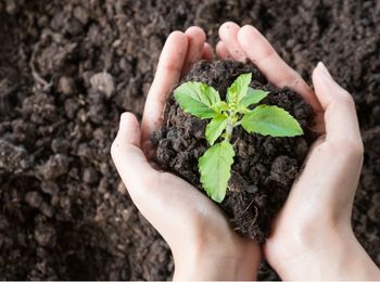 Inventario de agentes contaminantes del suelo