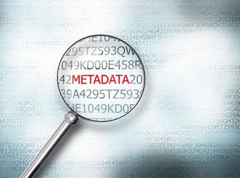Metadatos