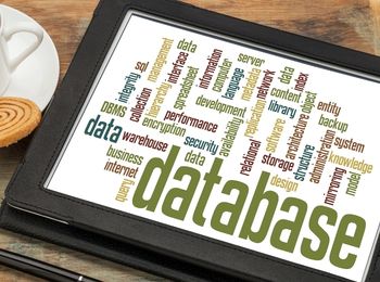 Desarrollo de aplicaciones de sistemas gestores de bases de datos