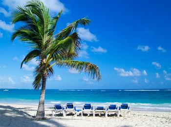 Procesos económico-administrativos en agencias de viajes y otras entidades de distribución turística