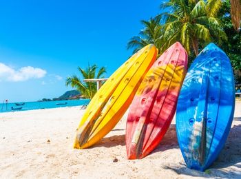 Animación turística