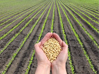 curso control de plagas en agricultura ecológica